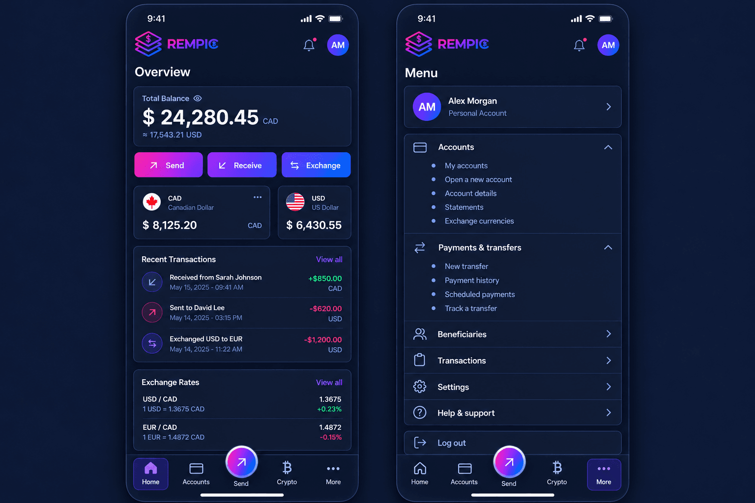 Illustrative digital asset interface for REMPIC